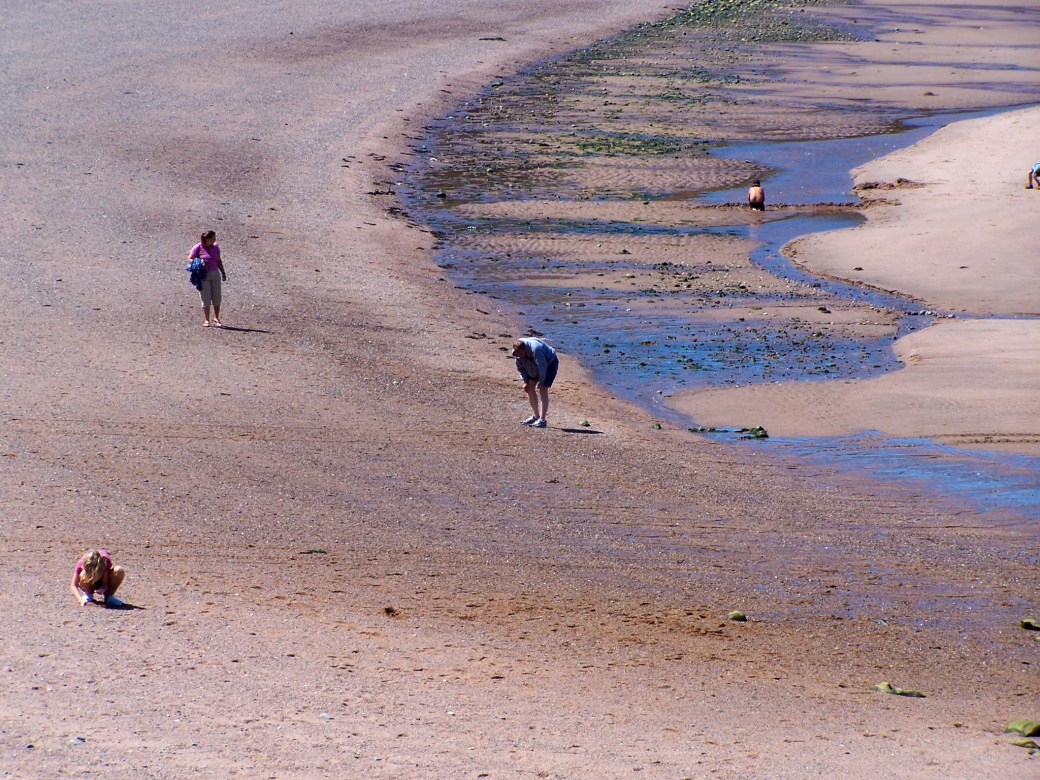 Searching for sea glass